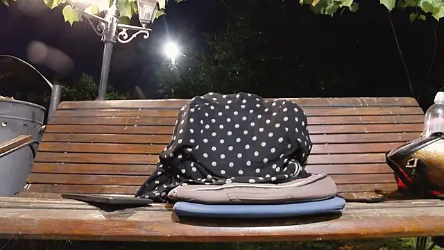 BigLabia_PublicPark webcam