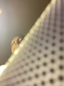 ChefD_
