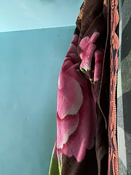 BullDominant_Master