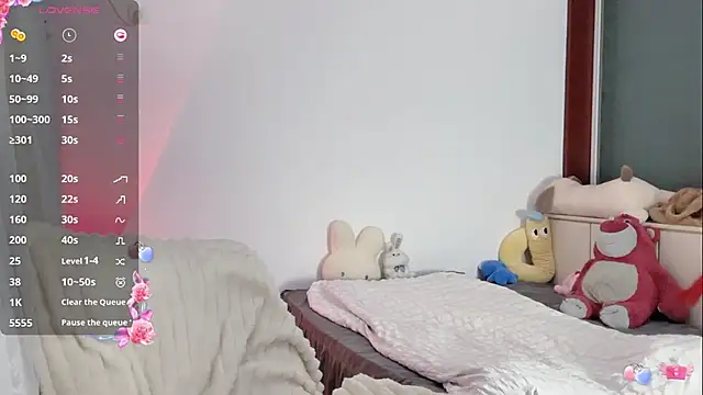 _flipped_ webcam