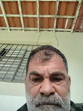Peludo173317