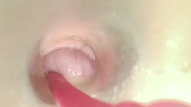 karol_stom