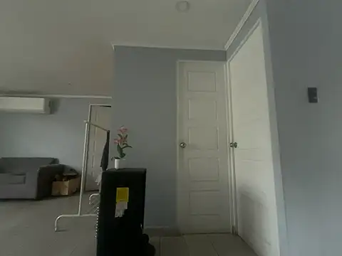 the_stoic live cam on StripChat