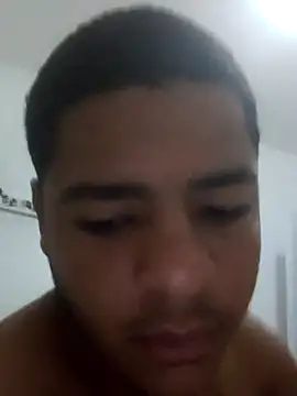 Mithckey webcam