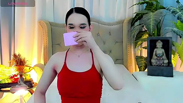 LexiLoreOnTop webcam