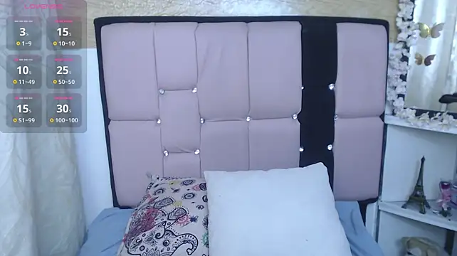 palmer_mIix webcam