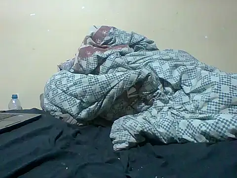 Offchart webcam