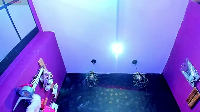 Alexa_Slave webcam