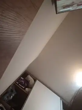 kotkite webcam