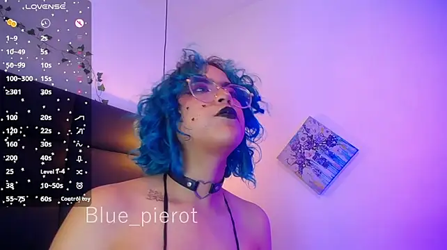 blue_pierot webcam