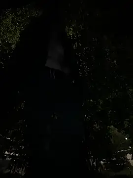 outdoor-houndour webcam