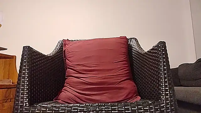 Tyyson03 webcam