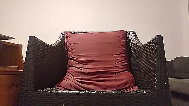 Tyyson03 webcam
