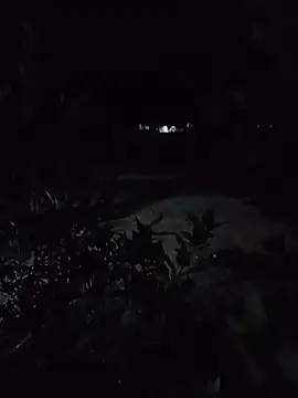 Hiptonos live sex cam