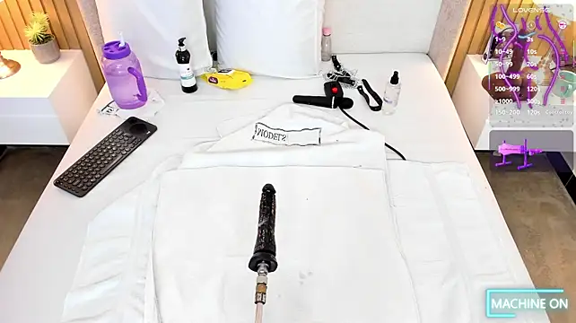 bounce_katty webcam