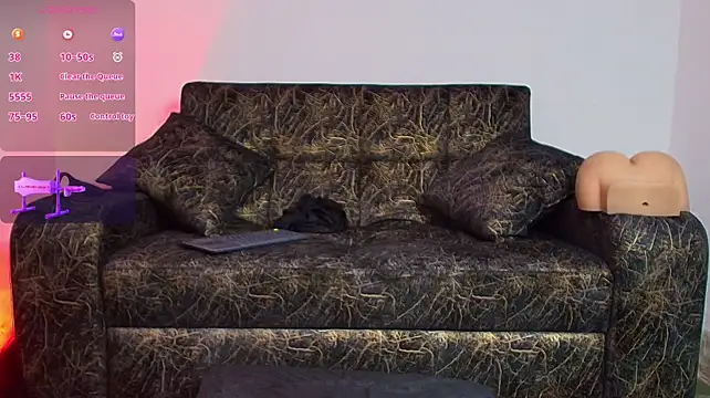BrayaanFit webcam