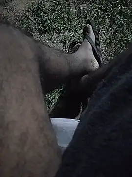 hiptonos (Ask my age) - Ass hole show fully nake out door risky