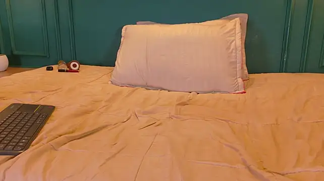 ale_cam webcam