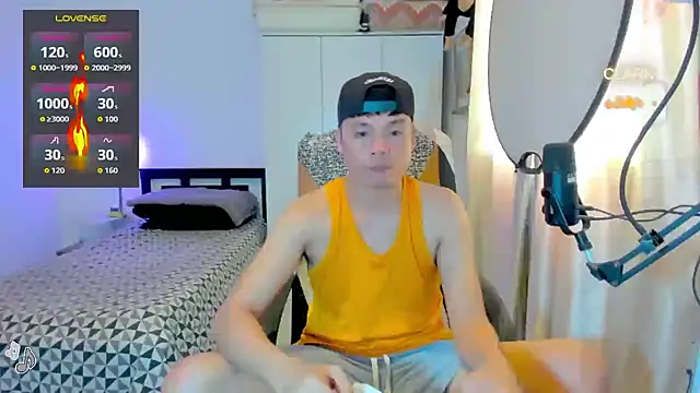 clarkdangerous webcam