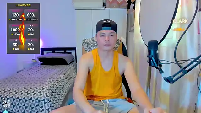 clarkdangerous webcam