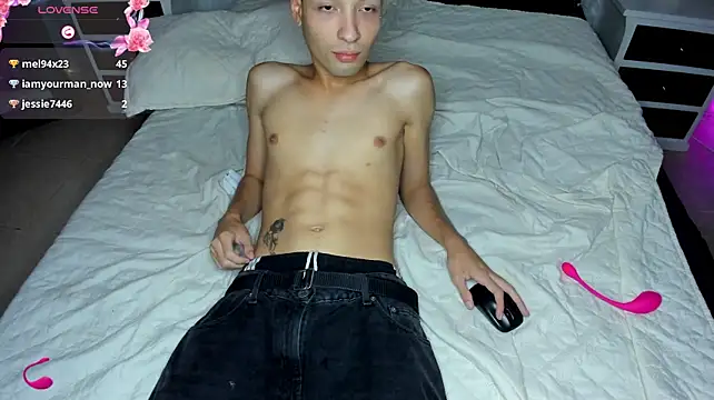 dstevora webcam