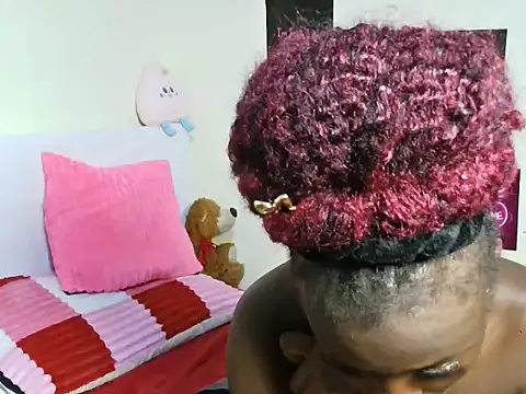 Aria_ah webcam
