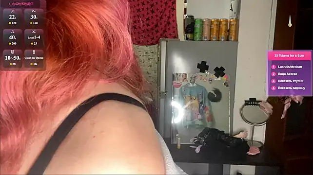 RedKittySquirrel webcam