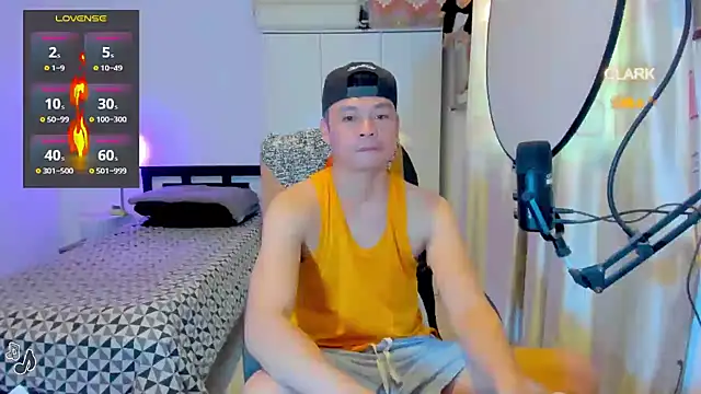clarkdangerous webcam