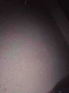 Hottiesophie webcam