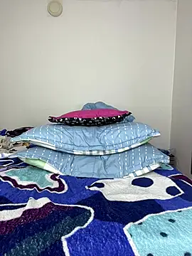 sandylau webcam