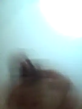 RickErtler live cam on StripChat