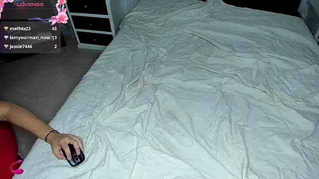 dstevora webcam