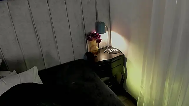 EvaaStevens webcam