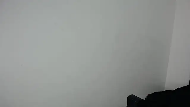 Crystal_and_criss webcam