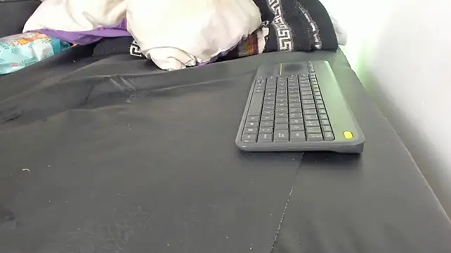 Vicky_js webcam