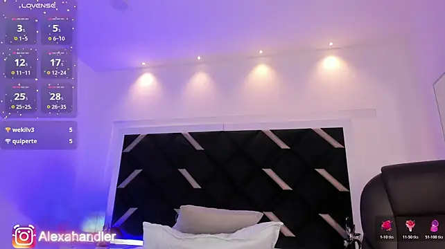 Alexa_Handler webcam