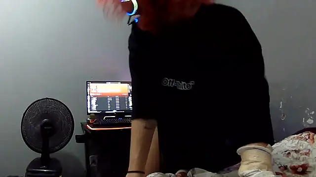 Moon_ webcam