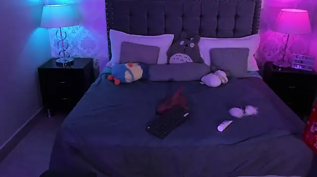 kitticam webcam