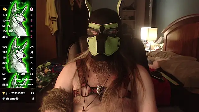 kinkywolf429