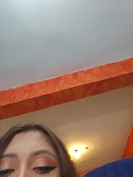 -TheCatCrazy- webcam