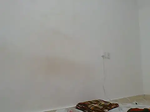 hotty_assy