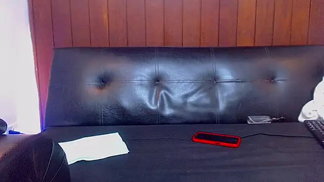 23cm_buch webcam