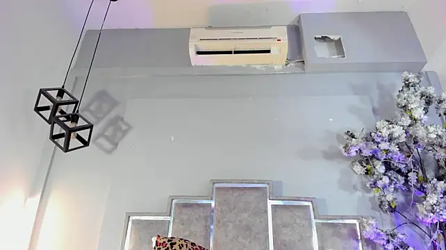 Cloedurant webcam