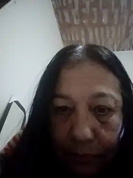 catdool webcam