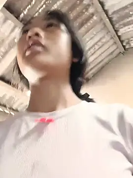 Hoa-tuylip