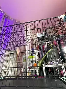 KawaiiKiki_247 webcam