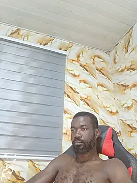 Bulletact