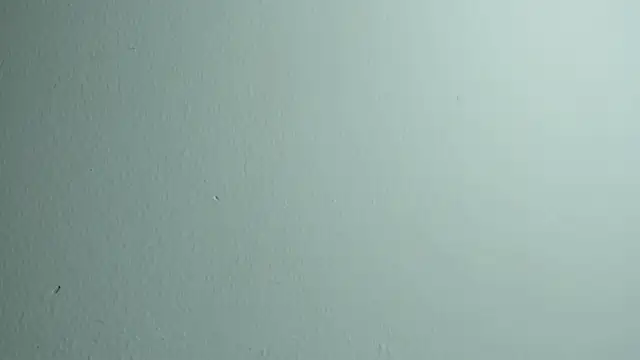 miaapril