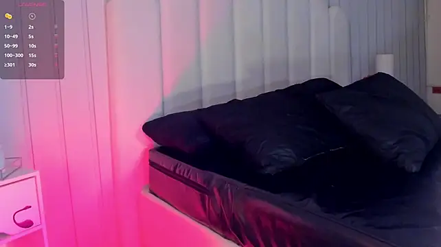 OnyxNoir_ webcam