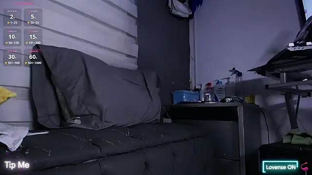 dirty_27cms webcam